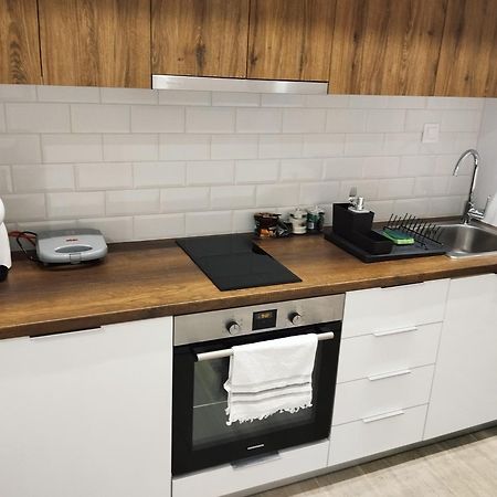 Vasili'S And Vasiliki'S Luxury Apartment アテネ エクステリア 写真